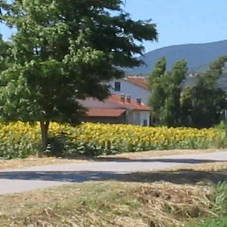 San Luigi *