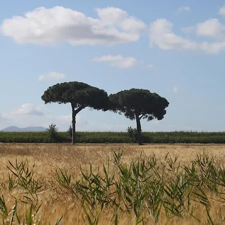 San Luigi Country house Macchiascandona